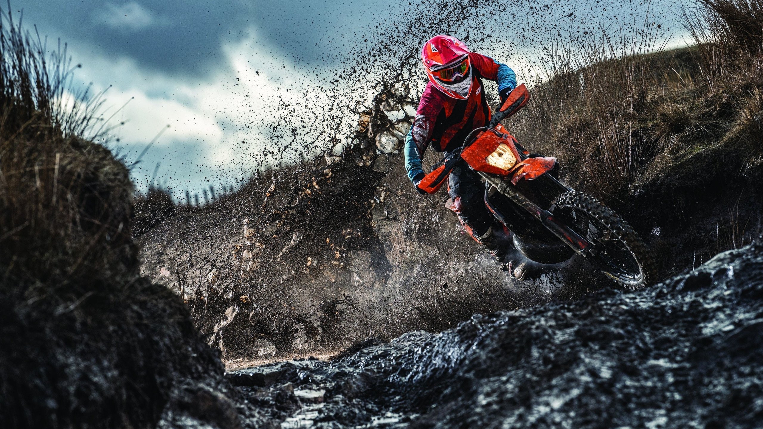 德甲速度狂飙：瞬间突入，全场震撼！，德甲最快球员