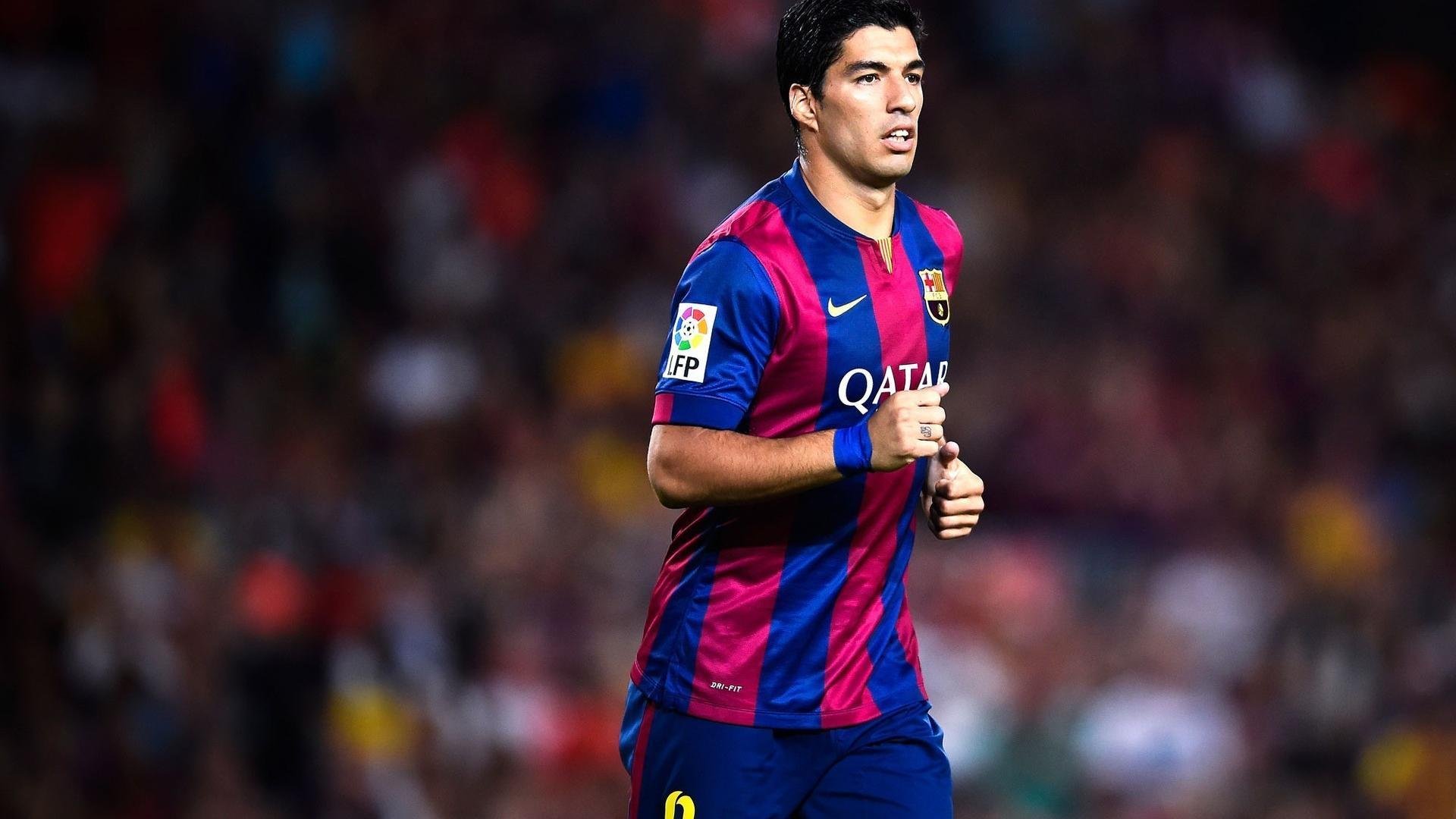 世界柔道锦标赛：中国选手夺金突破纪录，世界柔道大师赛